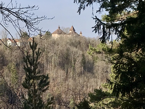 Schlossrundweg Kyburg-Mülau; Nr. 08 Lootobel