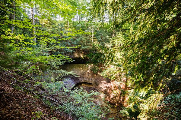 Panoramarundweg Ottikon - First; Nr. 05 Chuppenacher Wasserfall