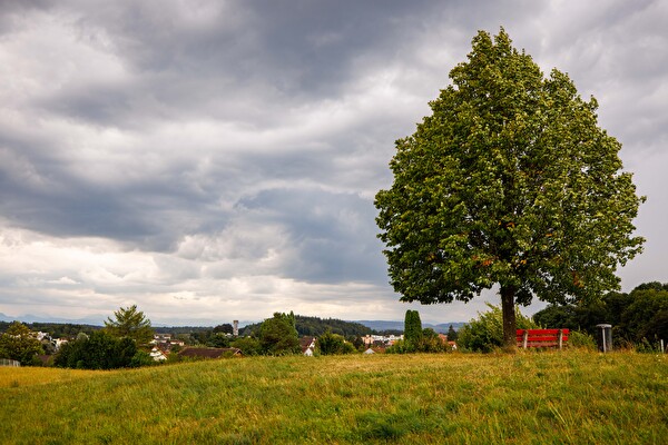 Hügelrundweg Effretikon; 6 Büechli