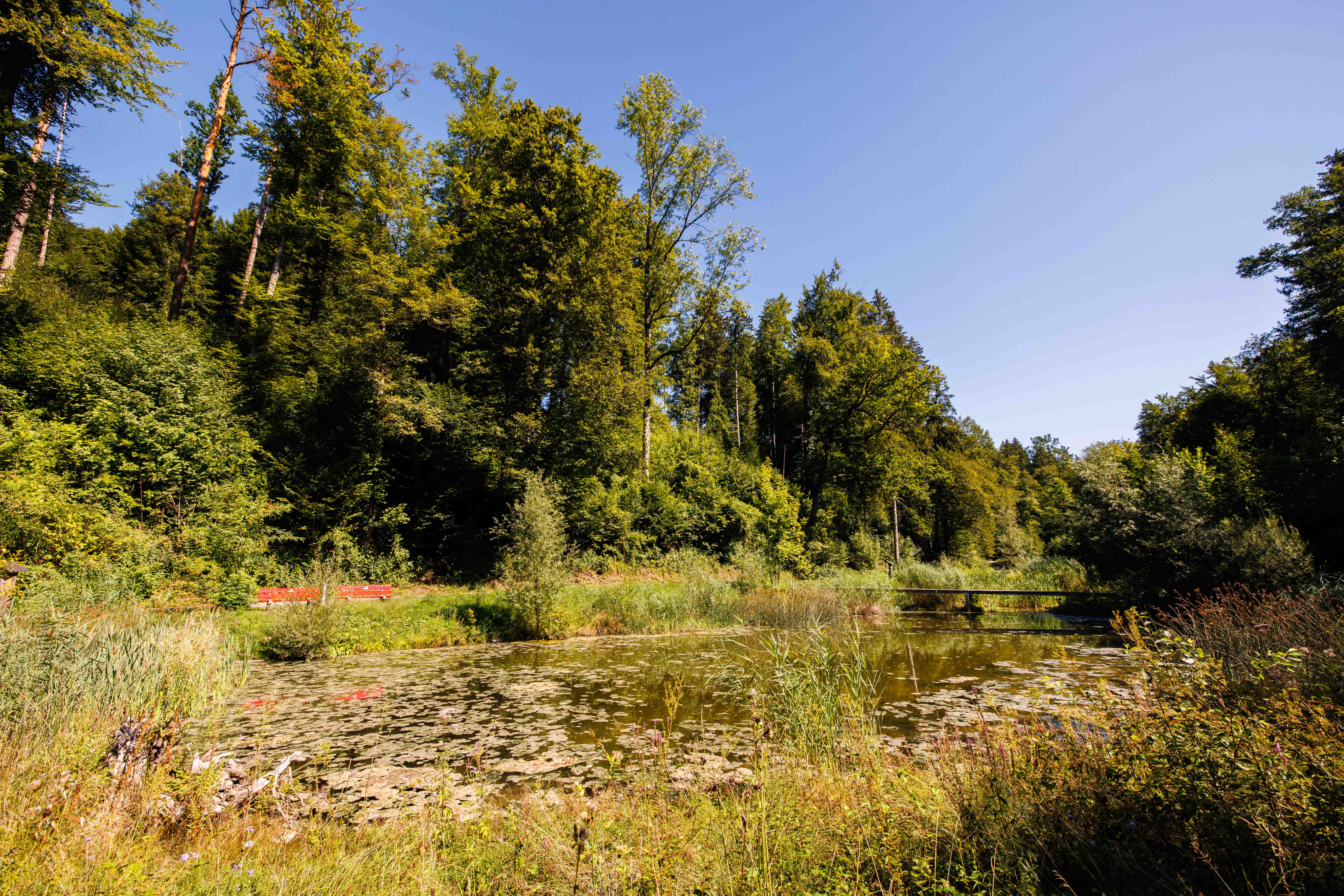 Sagiweiher