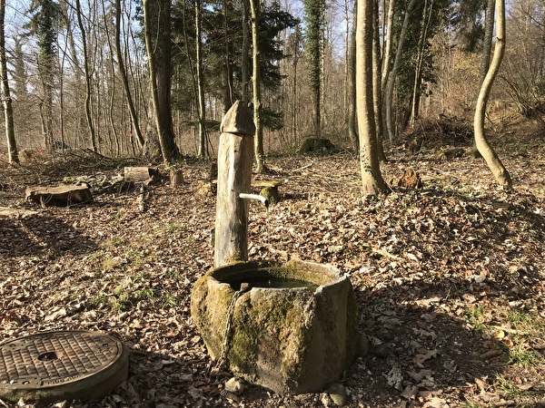 Schlossrundweg Kyburg-Mülau; Nr. 06 Vogelsang