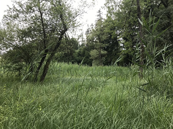 Hügelrundweg Effretikon; 5 Mülizenriet