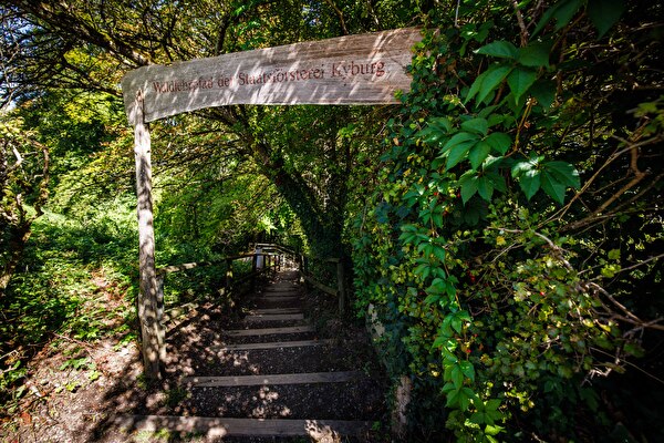Schlossrundweg Kyburg-Mülau; Nr. 12 Waldlehrpfad