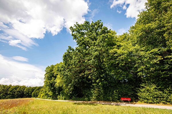Hügelrundweg Effretikon; 8 Chämtenrain