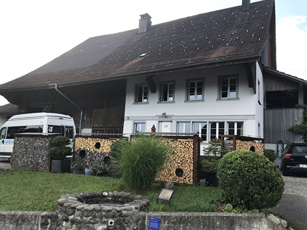 Bauernhaus mit Sodbrunnen