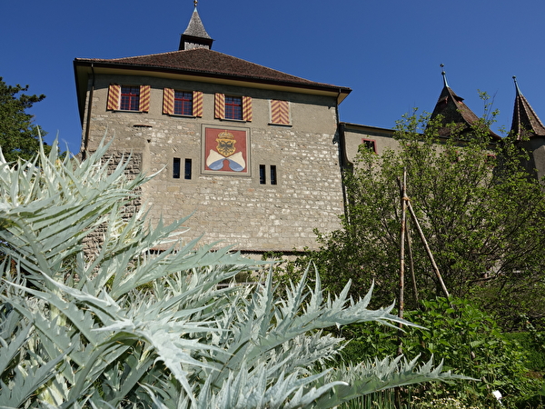 Schloss Kyburg