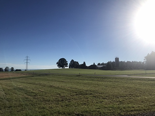 Panoramarundweg Ottikon - First; Nr. 04 Galgenholz