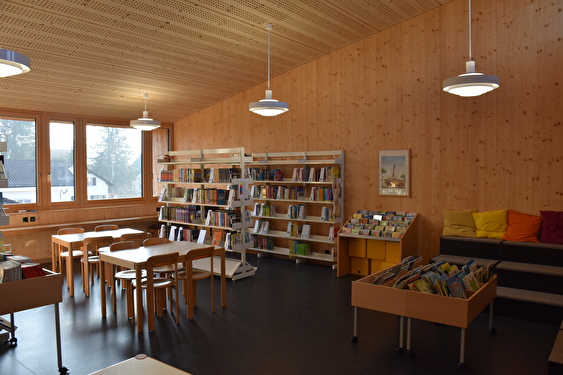 Bibliothek Primarschule Brislach