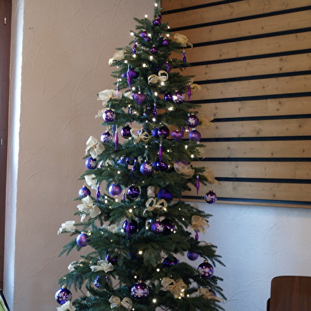 Seniorenweihnachtsfeier 2016
