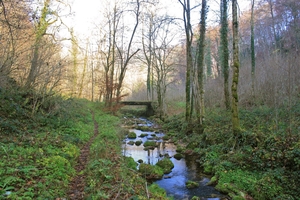 Bild vom Chaltbrunnental