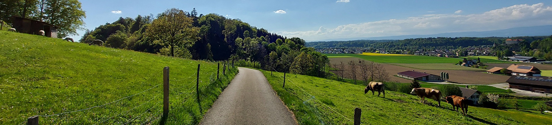 Dorfbild 2