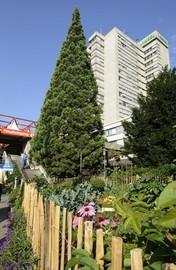 Inselspital