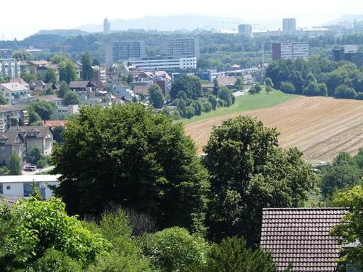 Zwischenzeitlich hat sich die Gegend der Steinibachmatte stark verändert. Dennoch wird auf der Matte nach wie vor Landwirtschaft betrieben. Dieses Bild wurde im Sommer 2008 aufgenommen. Die hohen Gebäude im Hintergrund gehören bereits zu Worblaufen.