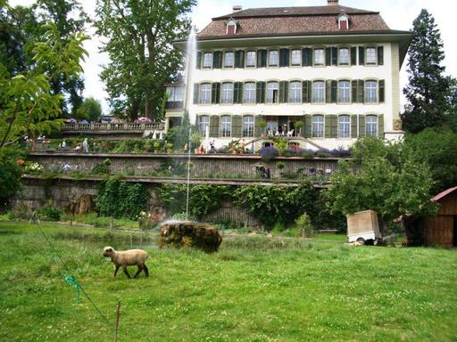 Das Schloss Reichenbach am Ufer der Aare ist ein besonderes kulturhistorisches Juwel von Zollikofen.