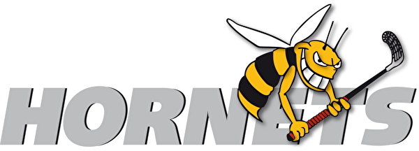 Logo Hornets