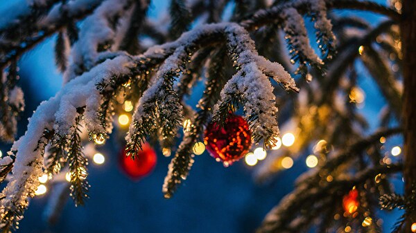 geschmückter Tannenbaum im Schnee