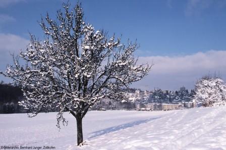 Steinibachmatte Winter 1995