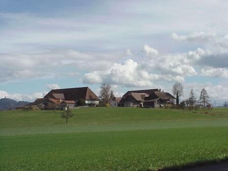 Mit der Besichtigung des Weilers Bühlikofen - hier ein Blick zurück auf den ganzen Gebäudekomplex - war die Führung zu Ende. 