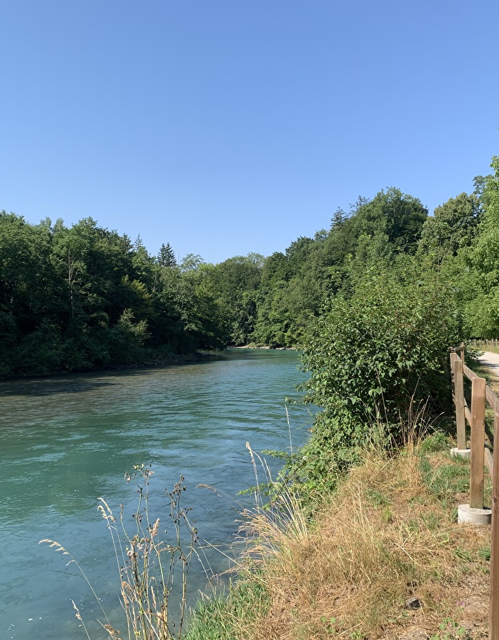 Aare Reichenbach