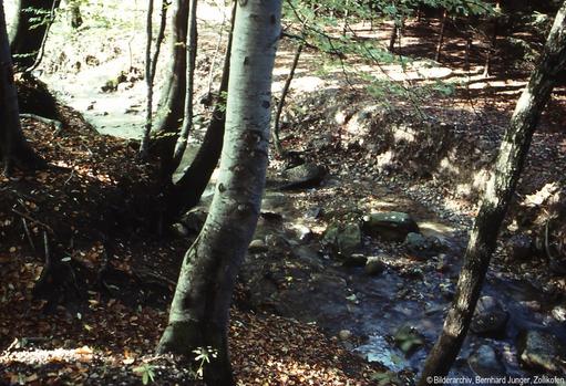 Beim Betrachten dieses Bildes sind Findlinge aus der Eiszeit klar zu erkennen. Übringes führt kurz vor der Einmündung in die Aare eine kleine Brücke über den Steinibach, diese befindet sich rechts vom Gelände der Ara.