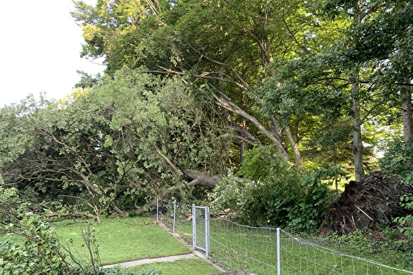 Bild Gartenseitig