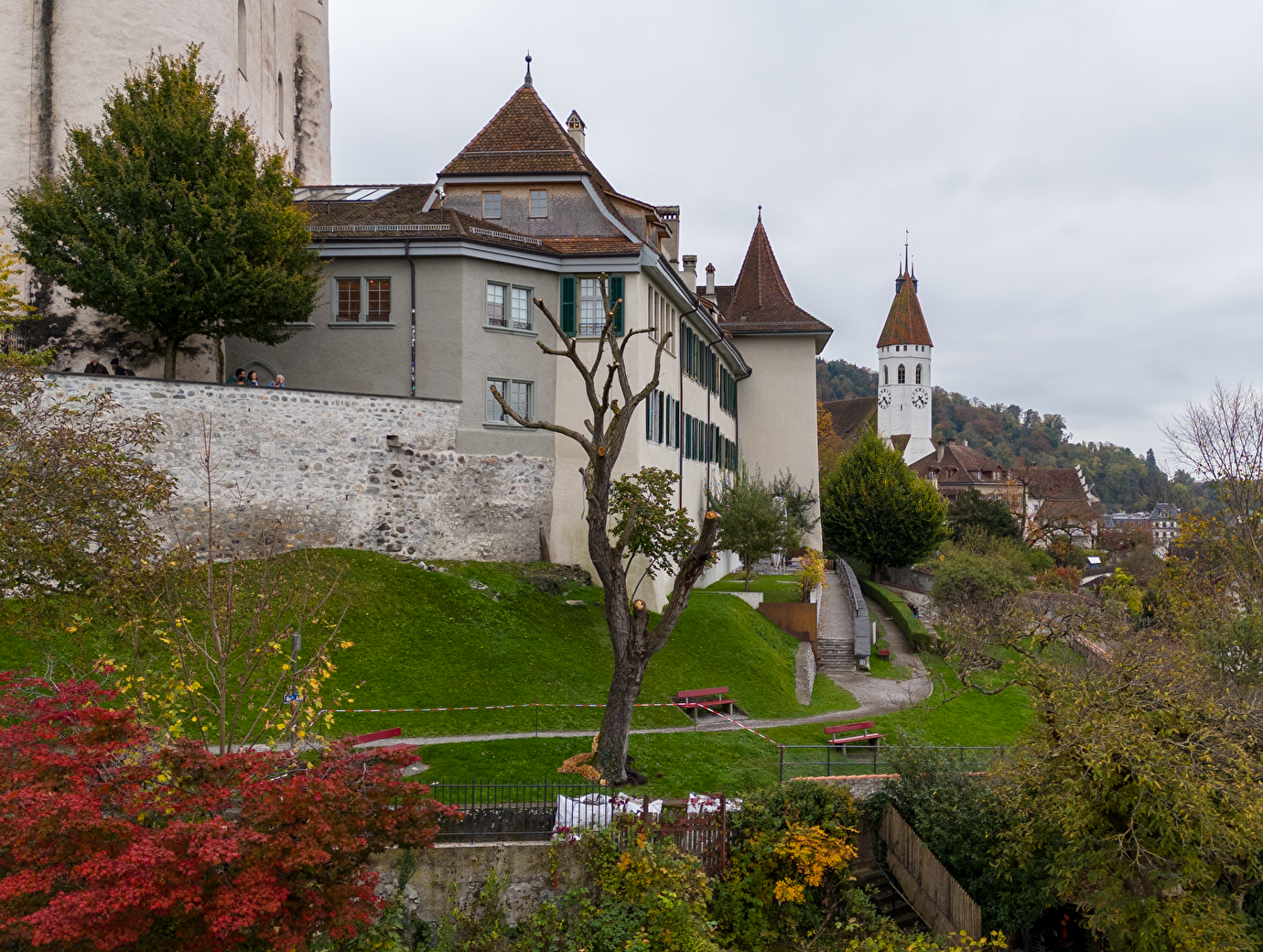 Nussbaum am Thuner Schlossberg