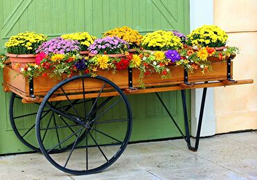 Image chariot de fleurs
