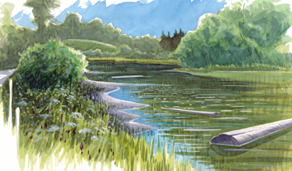 Image aquarelle des marais