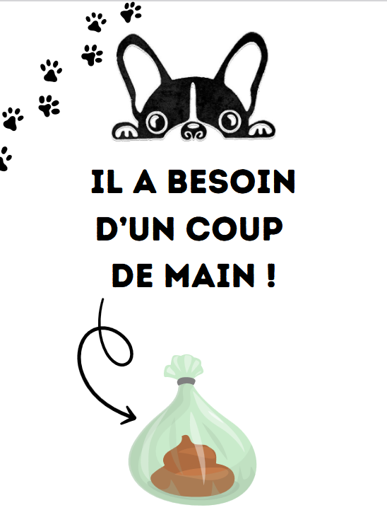 Image humoristique de chien et sac à crottes