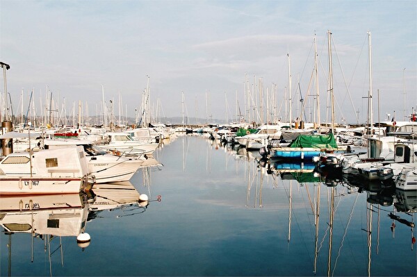 Image port