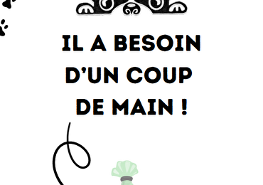 Image humoristique de chien et sac à crottes