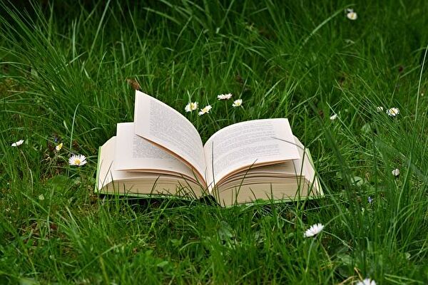 Image de livres ouverts