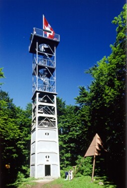 Turm auf dem Wisenberg