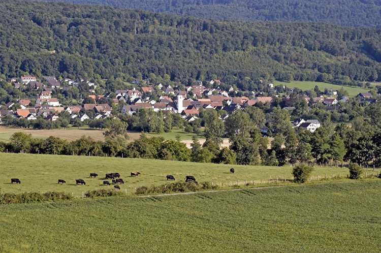 Gemeinde Rodersdorf