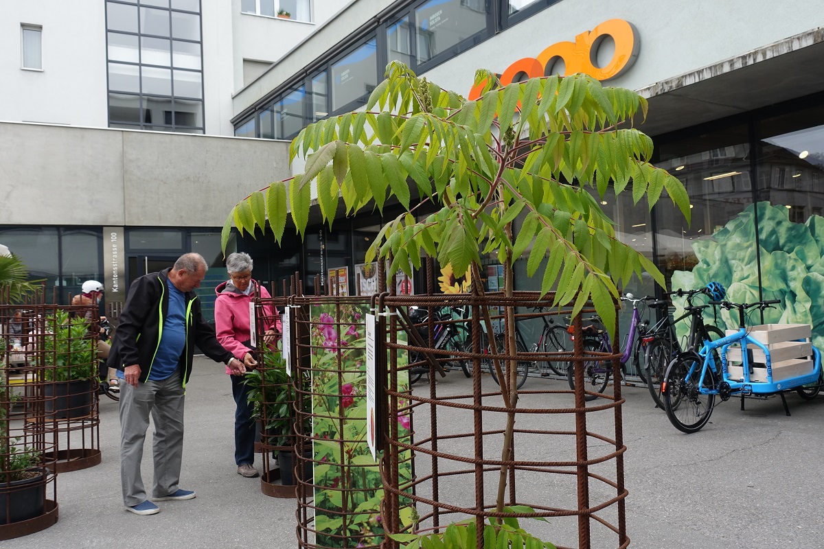 Neophyten Ausstellung