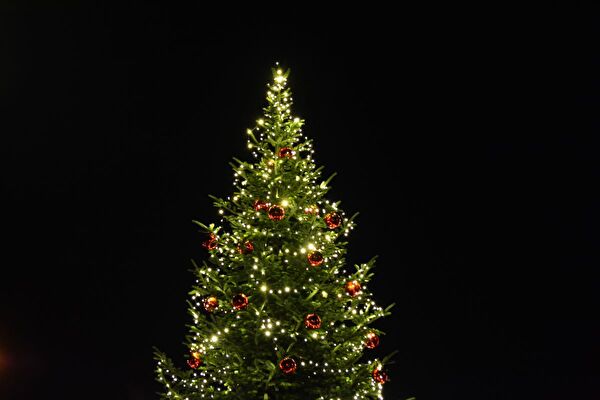 Eine Tanne im weihnachtlichen Schmuck.