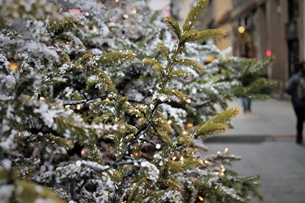 Weihnachtsbaum auf einem öffentlichen Platz