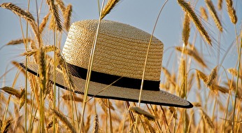 Reduzierte Öffnungszeiten über den Sommer