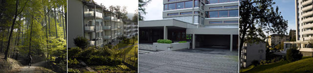 Bireggwald, Wohnhäuser, Schulhaus Biregg