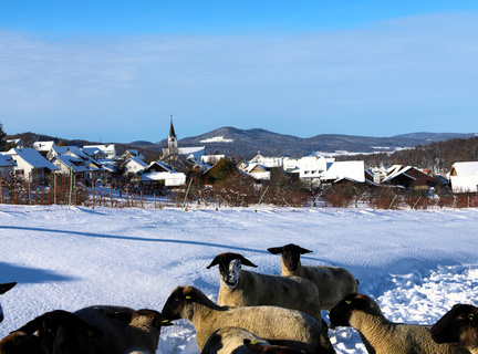Metzerlen-Mariastein