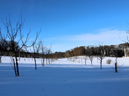 Metzerlen-Mariastein