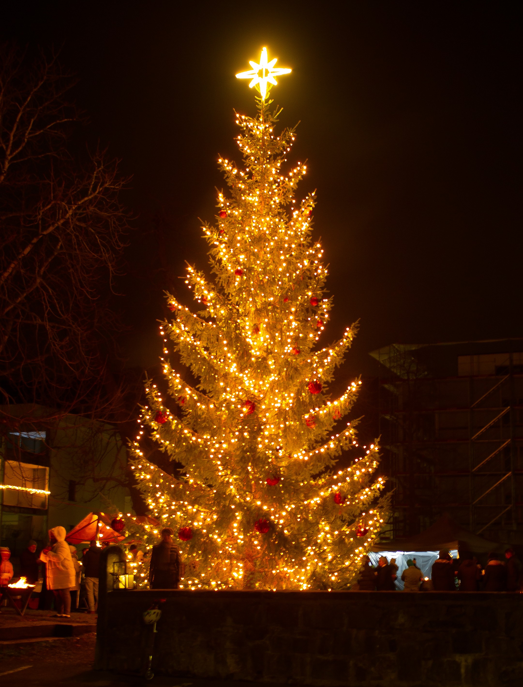 Fotograf: Stefan Scheuteri