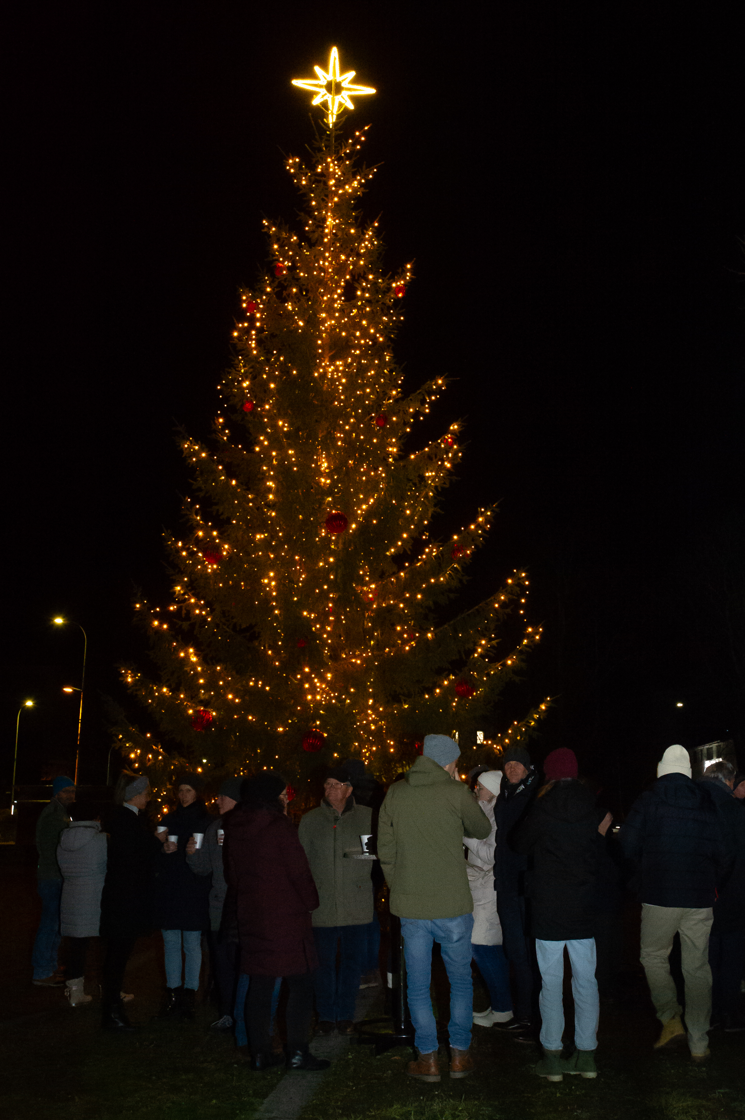 Fotograf: Stefan Scheuteri