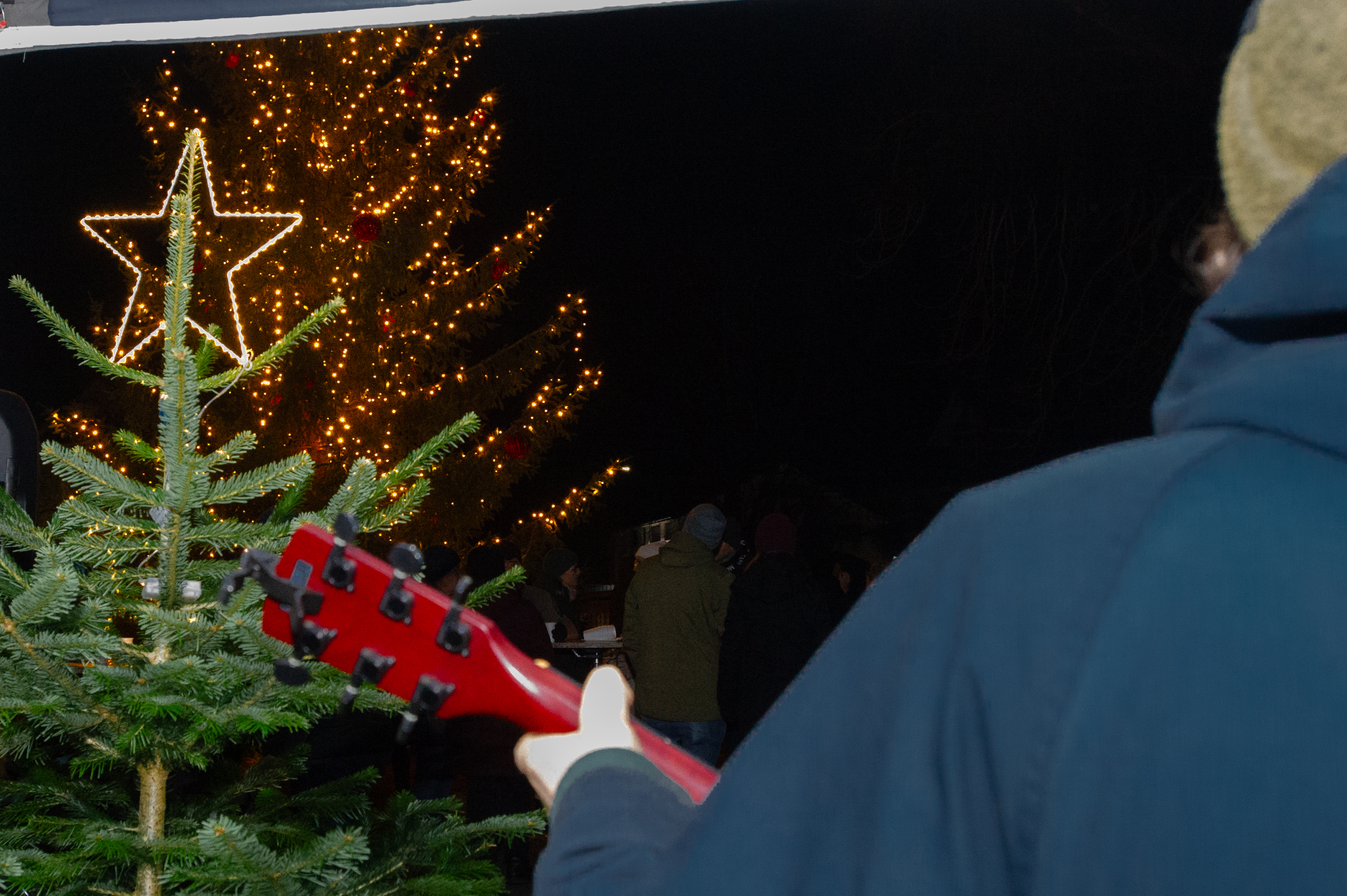 Fotograf: Stefan Scheuteri