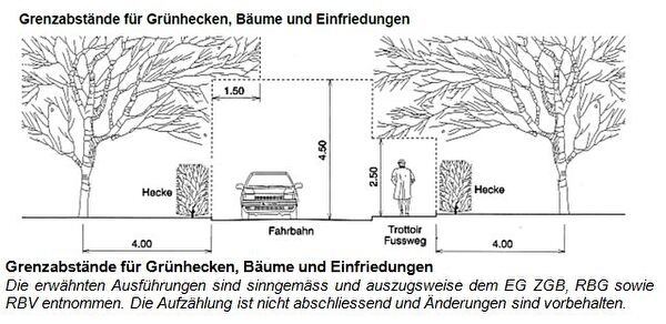 Grenzabstand für Grünhecke, Bäume und Einfriedungen