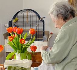 Ältere Dame die Handtücher zusammen faltet