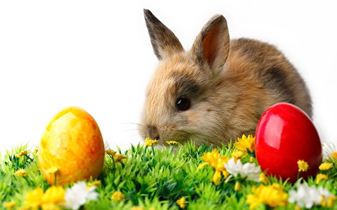 Frohe Ostern