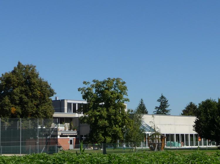 Das Hallenbad Muttenz bietet grüne Landschaft für sonnige Stunden