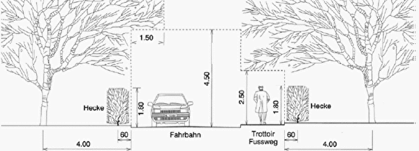 Bäumen und Sträuchern 