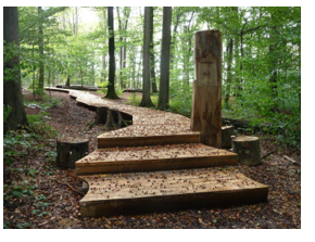Steg Rothallen, Zugang zum Rothallenweiher